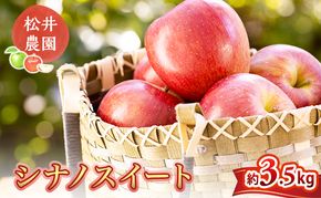 りんご【自家用りんご シナノスイート 3.5kg】信州りんご リンゴ 林檎 果物 くだもの フルーツ 信州 長野