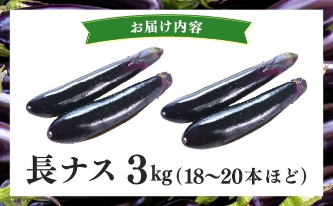 ＜先行予約＞北海道伊達産 長ナス 3kg 詰め [2026年発送]【ogr-001】