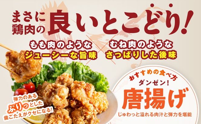 mrz0391 【氷温熟成×極味付け】国産鶏とろ（肩肉）1.5kg（300g×5P）【カット済み 氷温熟成×極味付け 小分け 味付き 簡単調理 訳あり サイズ不揃い 鶏肉 鶏とろ 肩肉 とり 圧倒的企業努力】