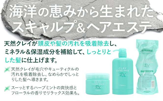 トリートメント クレイエステ パック EX 300g 500g 1000g 選べる 内容量 《30日以内に出荷予定(土日祝除く)》茨城県 結城市 化粧品 ヘアケア トリートメント ミント スカルプ ヘアエステ クレイ 詰め替え用 ケア用品 ヘア 美容【配送不可地域あり】---yuki_s_24_300g---
