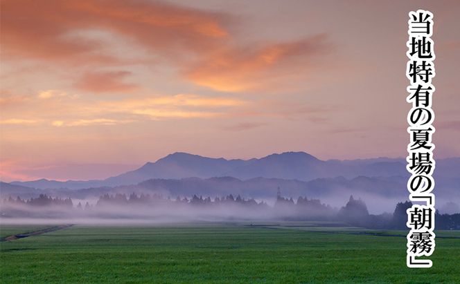 【厳選☆十日町育ち】魚沼産コシヒカリ 5kg×2袋 お米 米 コメ 