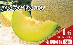 メロン 定期便 1玉 6回 夜須のエメラルドメロン テレビ朝日「ザワつく!金曜日」で特集 紹介 くだもの フルーツ ギフト マスクメロン 青肉 ギフト 贈答用 ご褒美 高級 お礼 御祝 産地直送 JA 高知県農業協同組合 香南市 常温 Wyu-0031