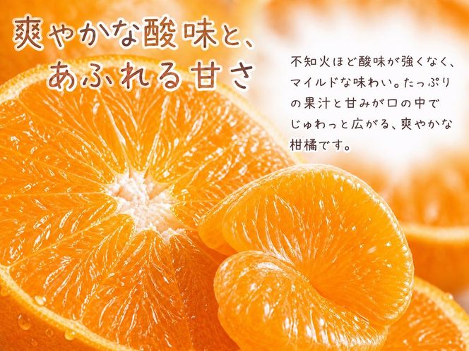 果肉ぷりぷり!完熟はるみ 5kg