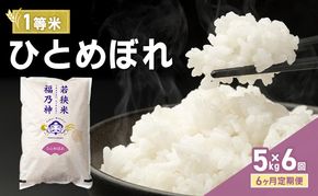 【6ヶ月定期便】令和8年産 ひとめぼれ 5kg（一等米・神谷農園） 米 お米 定期 若狭町
