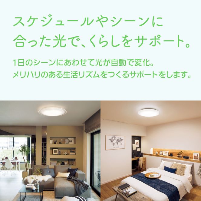 パナソニック【SNCX31120】LEDシーリング ライフコンディショニングシリーズ（丸型 8畳用）【senk0008】