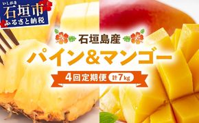 【2026年5月から発送 4回定期便】石垣島産パイナップル約2kg×3回・マンゴー約1kg×1回セット
