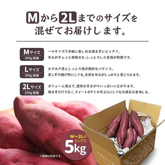 さつまいも 熟成 シルクスイート 5kg ｜ サツマイモ さつま芋 薩摩芋 オーガニック 有機栽培 有機JAS認証 焼き芋 やきいも 焼いも 芋 いも お芋 スイートポテト 甘露 季節限定 期間限定 野菜 スイーツ おやつ デザート ※2025年10月下旬以降収穫でき次第順次発送