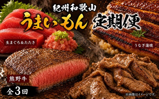 【全3回】まぐろ・うなぎ・和牛を楽しむ贅沢定期便C/ 鮪 マグロ 刺身 たたき 鰻 ウナギ 蒲焼き 熊野牛 肉 牛肉 和牛 黒毛和牛 ヒレ シャトーブリアン ステーキ 赤身 こま切れ 【tkb388】