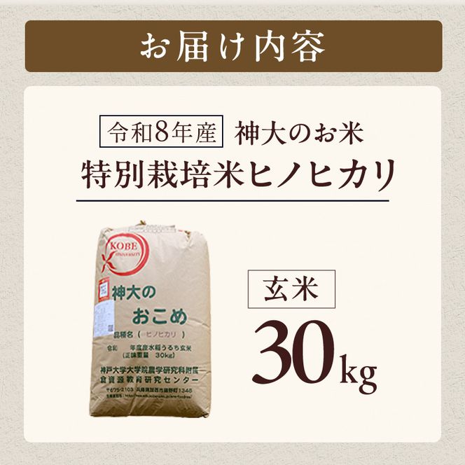 米 令和8年産 神大のおこめ（特別栽培米ヒノヒカリ）玄米30kg お米