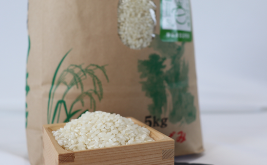 AL-4a 特別栽培米 垂井町産 いのちの壱 5kg