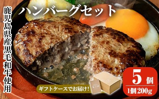 a750 鹿児島県産黒毛和牛ハンバーグセット(200g×5パック)【AKR Food Company】姶良市 国産 牛肉100% 冷凍 小分け