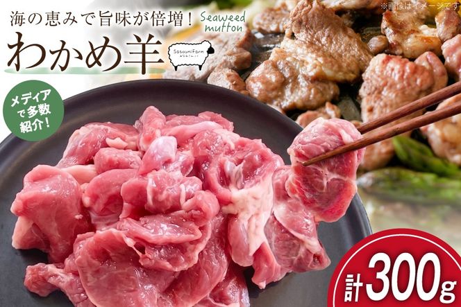 【TVで紹介!】 ラム肉 南三陸 わかめ羊 300g [さとうみ羊牧 宮城県 南三陸町 m304auk330001] ラム 肉 ジンギスカン 羊肉 国産 わかめ 焼肉 キャンプ バーベキュー
