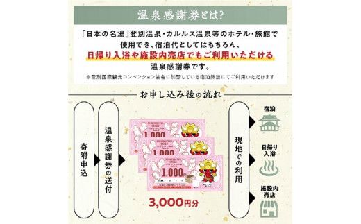 のぼりべつ温泉感謝券3,000円分 温泉 旅行 観光 北海道 チケット 温泉利用券 温泉券 のぼりべつ温泉感謝券 3000円 日本の名湯 登別温泉 カルルス温泉 ホテル登別国際観光 コンベンション協会 温泉旅館 温泉宿 温泉旅館 ホテル 温泉ホテル ふるさと納税 北海道 登別市