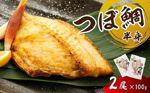 干物界の最高級魚 厳選した つぼ鯛 半身（100g×2尾）｜ ツボダイ ツボ鯛 一夜干し 干物 ひもの 魚干物 つぼだい 無添加 小分け 個包装 白身魚 焼魚 焼き魚 魚 冷凍 スピード発送 すぐ届く 魚干物 海鮮 絶品 人気 笹谷商店 直営 釧之助本店 せんのすけ 高級 すぐ発送 北海道 釧路町 釧路超 特産品