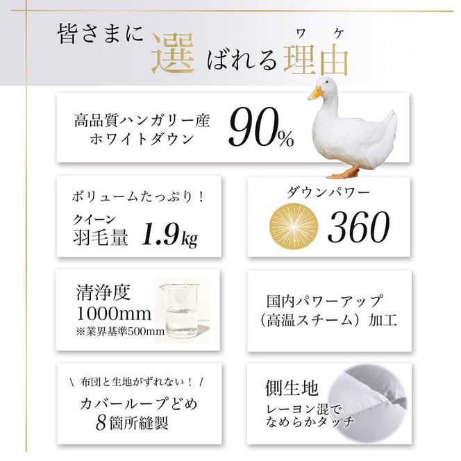 【パウダーグレー】＜京都金桝＞ 羽毛布団 『クイーン』 ハンガリーホワイトダウン90％ 1.9kg アクア 日本製 冬用 ボリューム 布団 京都亀岡産 新生活