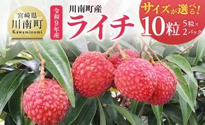※サイズが選べる※【令和9年産】川南町産ライチ 10粒(5粒×2パック) 【 国産ライチ フルーツ デザート 宮崎県産 】 [B03207 B03208 B03209]