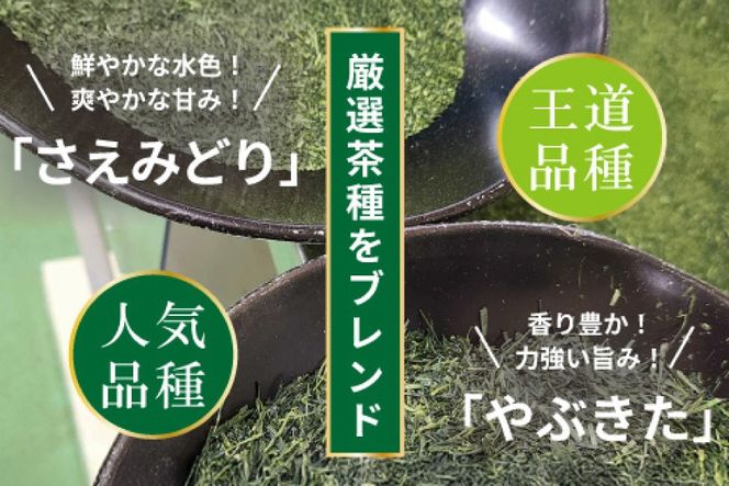 お茶 ティーバッグ 特撰 みやざき煎茶 紐付き 10袋 セット [谷岩茶舗 宮崎県 日向市 452061626] ティーパック 茶 茶葉 緑茶 新茶 お茶の葉