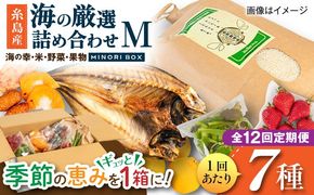 【全12回定期便】糸島産 魚 米 野菜 果物 厳選詰め合わせ MINORI BOX Mサイズ 糸島市 / emma.Inc / 米 魚 野菜 果物 詰め合わせ[AOP026]