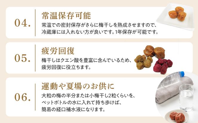 昔ながらの塩だけで漬込んだ無添加・無着色の梅干1.2kg【梅干 梅干し ウメボシ うめぼし 梅干 梅 ウメ お家用 家庭用 国産 無添加 無着色 神奈川県 小田原市 】 142069_AD004