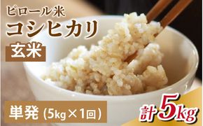 25年10月中旬以降順次発送　富山県滑川産 弱アルカリ性米「ピロール農法米 コシヒカリ」与文のお米（玄米5kg）産地直送 袋  おにぎり お米 白米 国産 ご飯 ごはん 富山県 滑川市 アグリめぐみ A-050001 アトピー 米