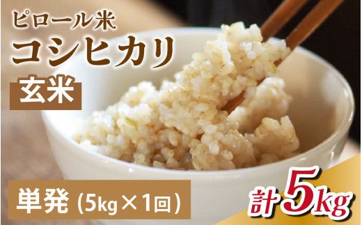 25年10月中旬以降順次発送　富山県滑川産 弱アルカリ性米「ピロール農法米 コシヒカリ」与文のお米（玄米5kg）産地直送 袋  おにぎり お米 白米 国産 ご飯 ごはん 富山県 滑川市 アグリめぐみ A-050001 アトピー 米