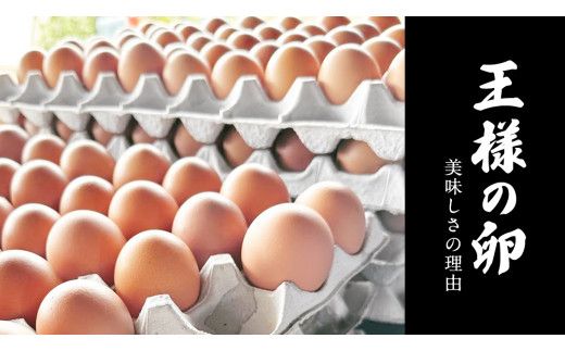 【6ヵ月 連続 定期便】王様の卵 ヨード入 40個 (35個+割れ保障5個 ) 計240個 平飼い 地鶏 有精卵 濃厚 卵 こだわり卵 たまご  頒布会 定期 [AU009us]