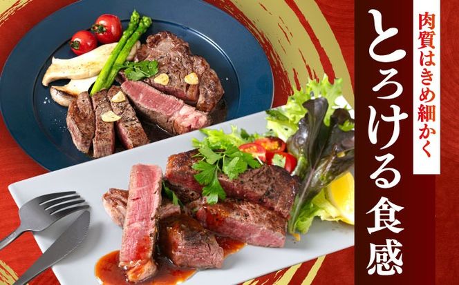 国産 博多和牛 A5ランク ヒレ ステーキ 雌 200g × 2枚  ギフトセット≪築上町≫【KRAZY MEAT】 ヒレ ステーキ 和牛 肉 BBQ[ABEN005]