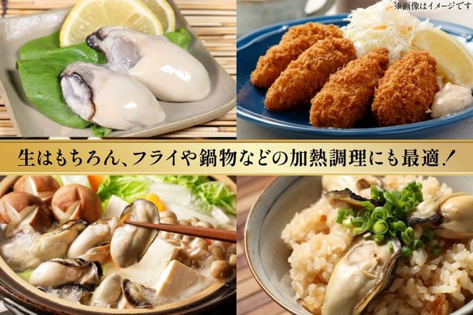 【期間限定発送】 宮城県産 むき身 極粒旨かき 生食用 500g ×1p[丸壽阿部商店 宮城県 南三陸町 m304bir010001] かき カキ 牡蠣 生牡蠣 貝 魚介類 剥き身 むき身 殻なし 冷蔵 新鮮 なべ カキフライ 牡蠣ご飯 濃厚