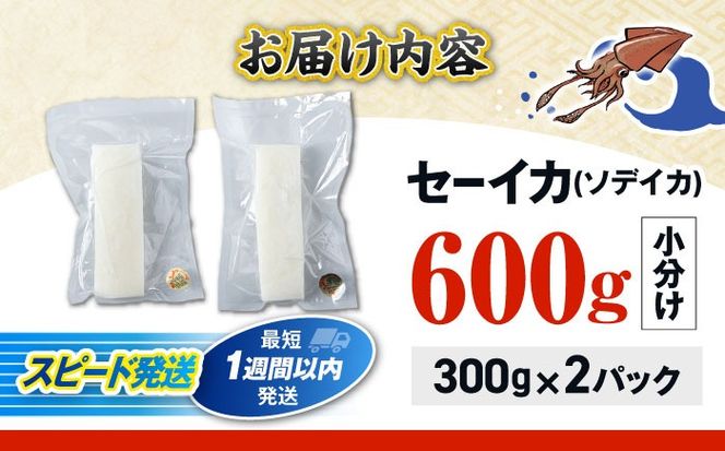 セーイカ (そでいか) 0.6kg (300g ×2パック) 沖縄市 / 沖縄市漁業協同組合 パヤオ直売店[BCDZ002]