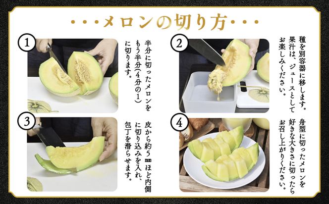 メロン 定期便【12回定期便】一果相伝 青肉メロン 赤肉メロン 家庭用 1玉 交互にお届け - フルーツ フルーツ定期便 果肉 赤肉 青肉 マスクメロン Wtn-0053