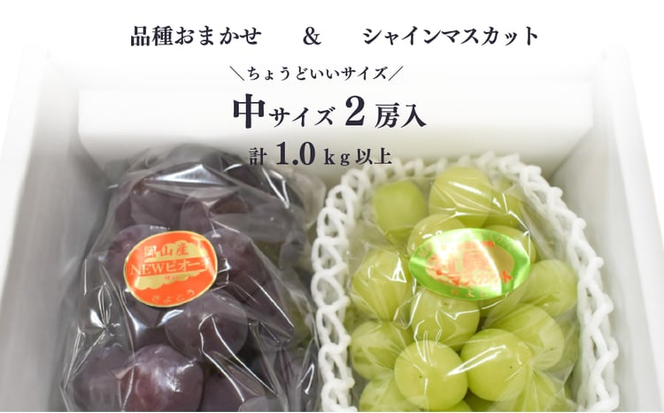 【2026年先行予約】シャインマスカット＆生産者いちおし葡萄 ２房/計1.0kg~ (岡山県産) 【KF-B010-04】