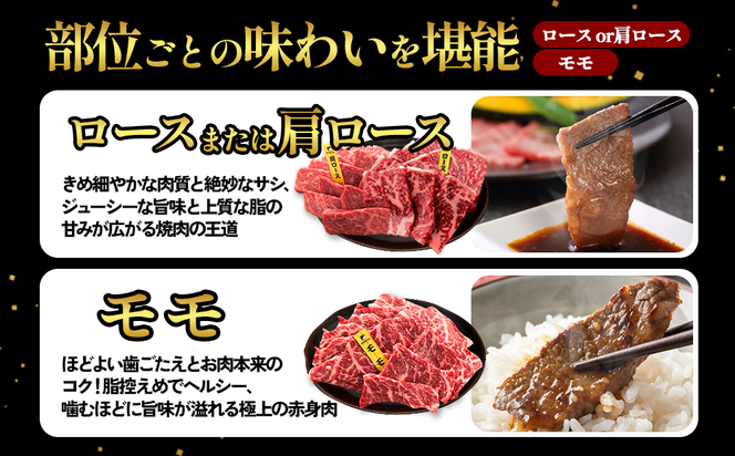 宮崎県産 黒牛 焼肉 赤身 牛肉 焼肉セット ロース 肩ロース モモ 2点盛り 560g(280g × 2パック)焼肉用 肉 お肉 牛 国産牛 食べ比べ セット 小分け 真空パック  冷凍 贈答 贈答用 ギフト BBQ アウトドア キャンプ  国産 国産牛 九州 宮崎県 えびの市 
