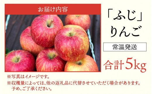 【先行予約】りんご 5kg【2026年12月以降順次発送予定】エコファーマー認定 | 林檎 リンゴ 果物 フルーツ 甘い ふじ 蜜入り 5kg 5キロ