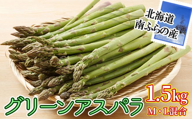 2026年先行予約 南ふらの産 グリーン アスパラ 1.5kg (M・L混合) 北海道 南富良野町 アスパラ アスパラガス 野菜 ふらの 2026年発送 先行予約