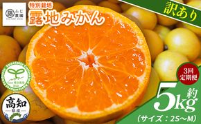【3回定期便】ふじ農園の露地みかん 訳あり品 5kg(2S～M) 国産 小玉 蜜柑 ミカン 柑橘 果物 フルーツ 訳アリ ご家庭用 自宅用 ふじ農園 高知県 香南市 Wfn-0022