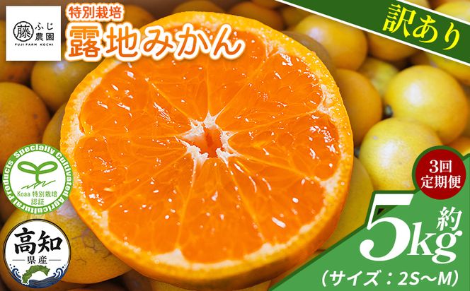 【3回定期便】ふじ農園の露地みかん 訳あり品 5kg(2S～M) 国産 小玉 蜜柑 ミカン 柑橘 果物 フルーツ 訳アリ ご家庭用 自宅用 ふじ農園 高知県 香南市 Wfn-0022