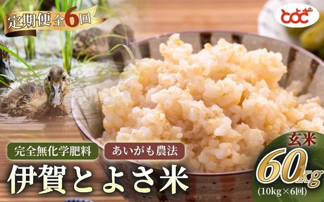 【定期便】完全無化学肥料　あいがも農法　伊賀とよさ米【玄米】10kgｘ年6回【tysk-tkb0002】