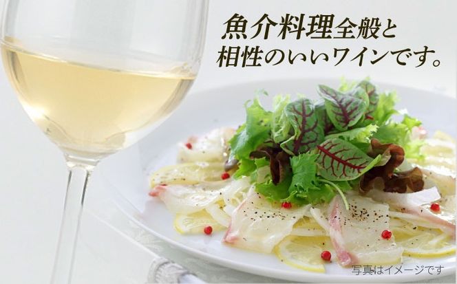 【糸島マスエワイナリ】STILL 白 Koshu Muscut 2本 糸島市 / いとしのいとしま[AEP002] 白ワイン 国産 ワイン 辛口  白 マスカット 甲州 魚介 糸島 ワイナリー