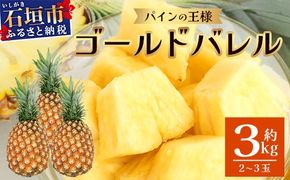 【先行予約】《2026年6月上旬より順次発送予定》最高級パイン ゴールドバレル2~3玉セット【 沖縄 石垣 パイナップル パイン ゴールド バレル 高級 セット 】TD-1-1