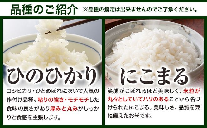 【令和8年2月～令和8年7月発送】米 お米 令和7年産 備中笠岡ふるさと米【6ヶ月定期便】5kg × 6ヶ月【先行受付】 国産 ヒノヒカリ にこまる きぬむすめ 単一原料米 検査済み 国産 ブランド米 お取り寄せ 送料無料 岡山県産---R7-5k-6M-R0802---