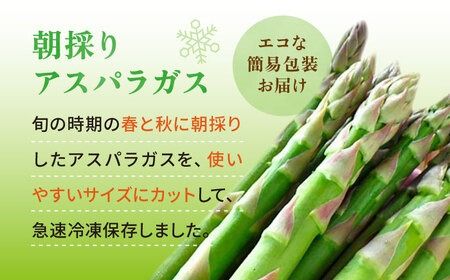 アスパラガス 400g 冷凍 カット済み 旬の時期に急速冷凍 【福岡県糸島産】 糸島市 / オーガニックナガミツファーム 野菜 アスパラ [AGE040]