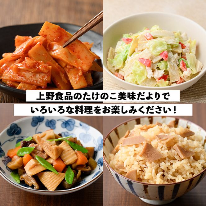 たけのこ美味だより(6種)国産 加工品 惣菜 弁当 おかず 筍水煮 たけのこご飯の素 簡単調理 贈答 ギフト プレゼント【上野食品】akn008-03