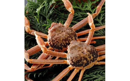 y挧khz758.yz 2025N11  tɁyuh^Otzi900g×2tj 313726_BS005VC01