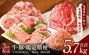 099Z243 牛・豚・鶏 定期便 7種 総量5.7kg（牛肉切り落とし／カット済み 鶏もも／豚肉5種 食べ比べ）全3回 丸善味わい加工【毎月発送コース】