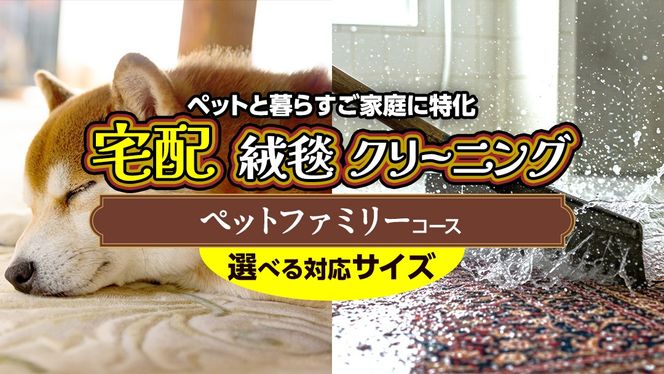 ＼選べるサイズ／宅配 絨毯 クリーニング チケット │  ペットファミリーコース 宅配 クリーニング 洗濯 洗浄 清潔 じゅうたん ラグ カーペット 丸洗い マット ニオイ対策 大掃除 ダニ 対策 敷物