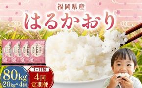 【1ヶ月毎4回定期便】 はるかおり 20kg 計80kg ／ 米 コメ お米 ライス ご飯 ごはん 飯 食品 精米 定期便 常温 福岡県 香春町