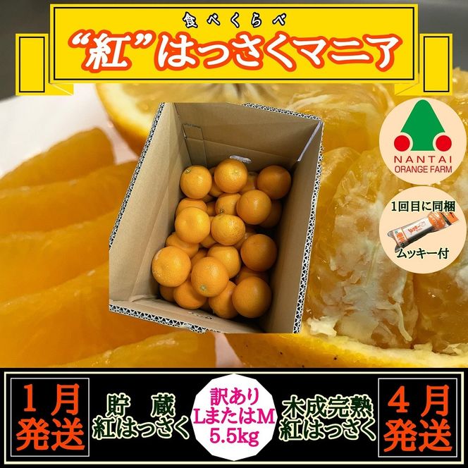 ya̎RLc쒬z1E4 S2  g͂ }jA   ؐn 󂠂菝 L ܂ M 5.5kg  a̎R Lc ׉ BS190