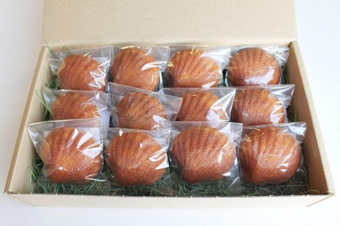 宮前区産 新鮮卵のはちみつマドレーヌ 12個入り 141305_DF09