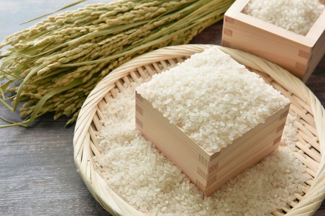 伊賀産 コシヒカリ（白米）10kg【tuli0003A】