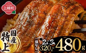【選べる容量】国産うなぎ蒲焼200g×2尾/160g×3尾/2尾（無頭）| 鰻 うなぎ ウナギ 国産鰻 国産うなぎ 丑の日 うなぎ蒲焼 蒲焼 鰻蒲焼き 蒲焼き かばやき 特上 うな重 ひつまぶし タレ うなぎのたれ タレ たれ 冷凍 ギフト プレゼント 贈答用 簡単調理 人気 おすすめ オススメ 九州 冬うなぎ